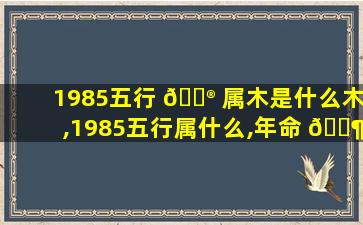 1985五行 💮 属木是什么木,1985五行属什么,年命 🐶 是什么
